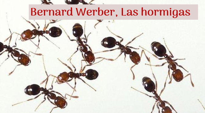Bernard Werber_Las hormigas_destacado