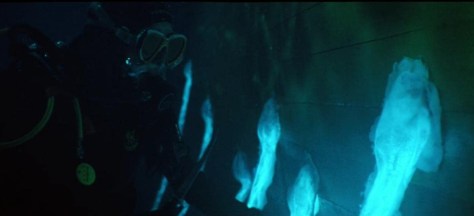 Contagio en alta mar_1