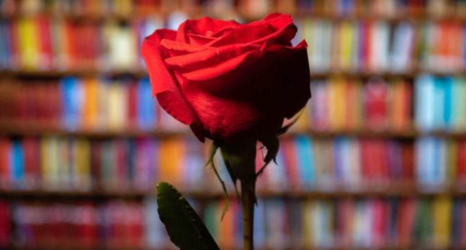 Sant Jordi 2026_destacado